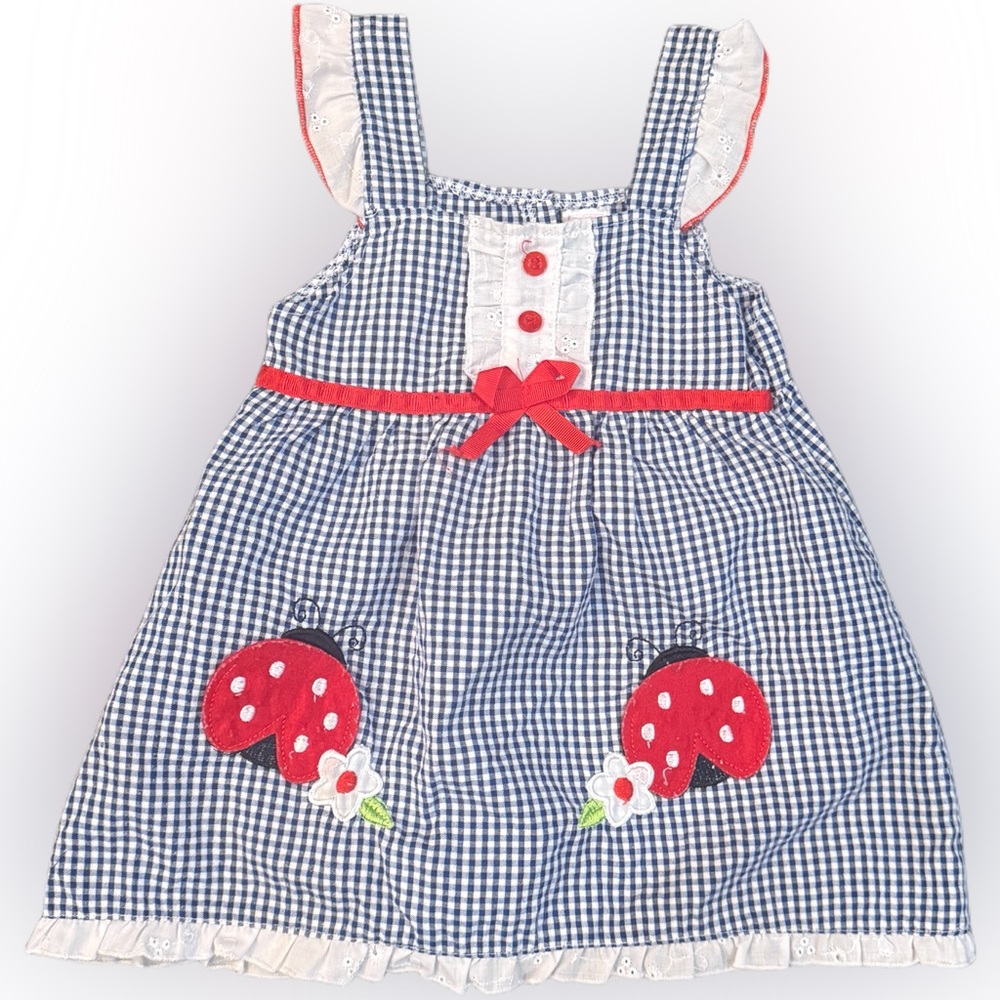 Vintage Blue Gingham Dress with Ladybug Design 2T